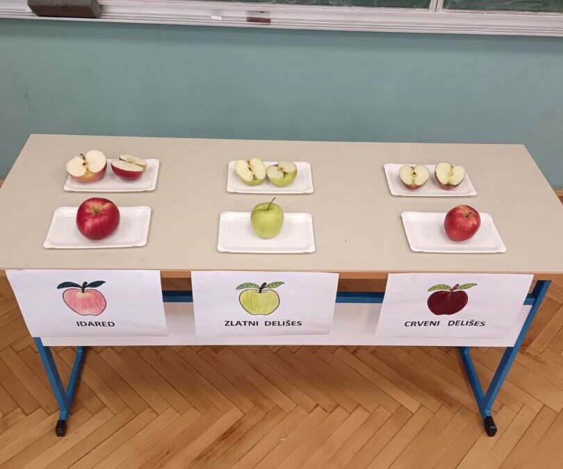 Svjetski dan kravate i Dan jabuka u Produženom boravku