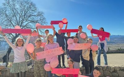 Dan ružičastih majica